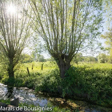 Dom wakacyjny Le Du Marais De - Campagne De Saint Amand Les Eaux- Valenciennes